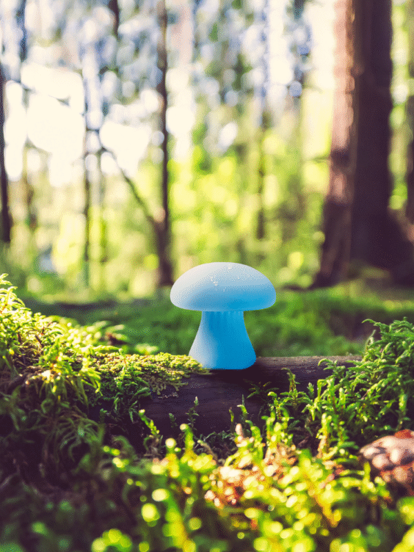 'Shroom